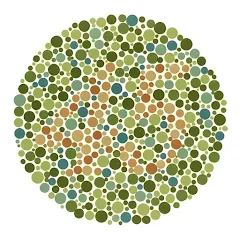 Color Blind Test